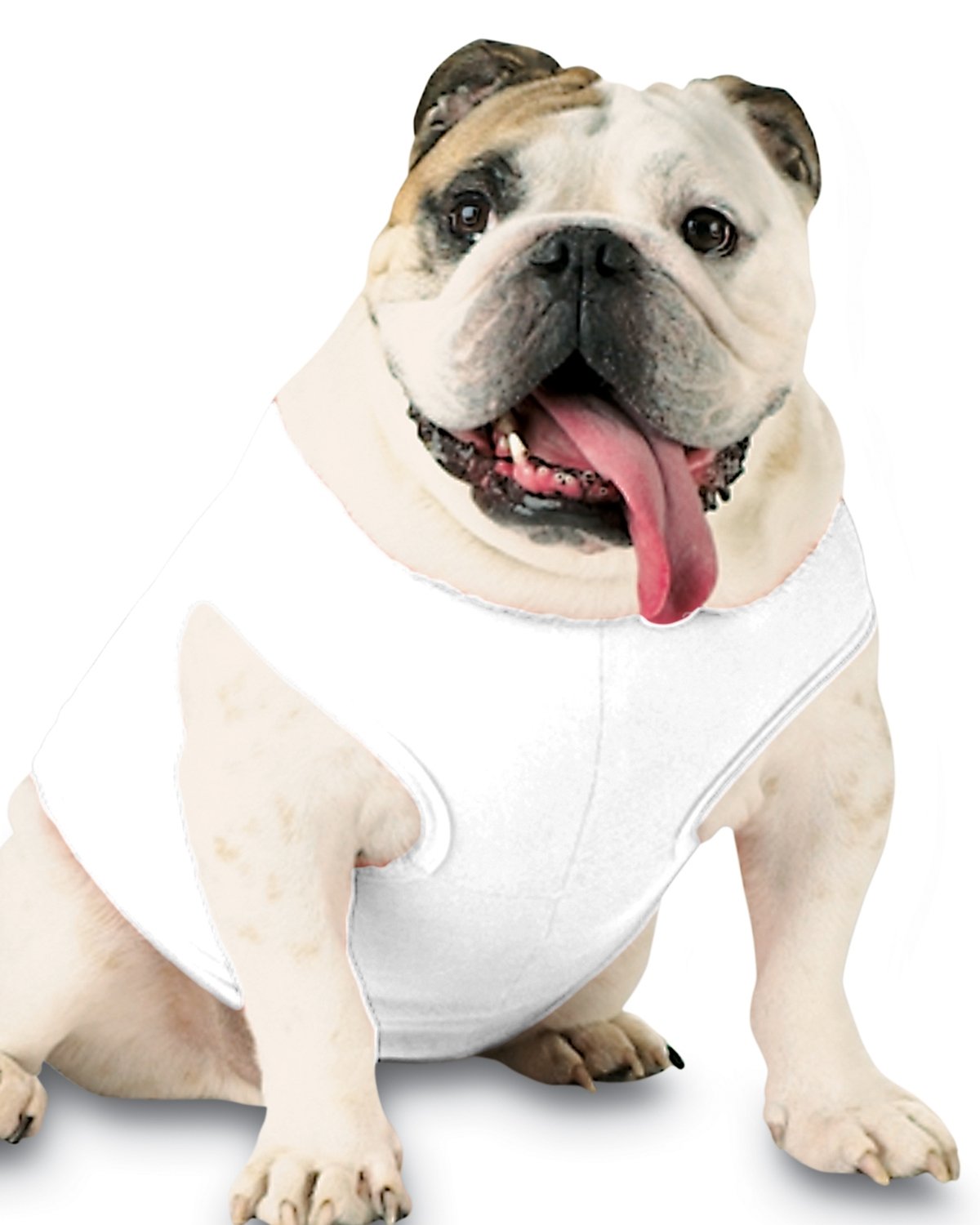 Doggie Baby Rib Tank - Apparel Globe