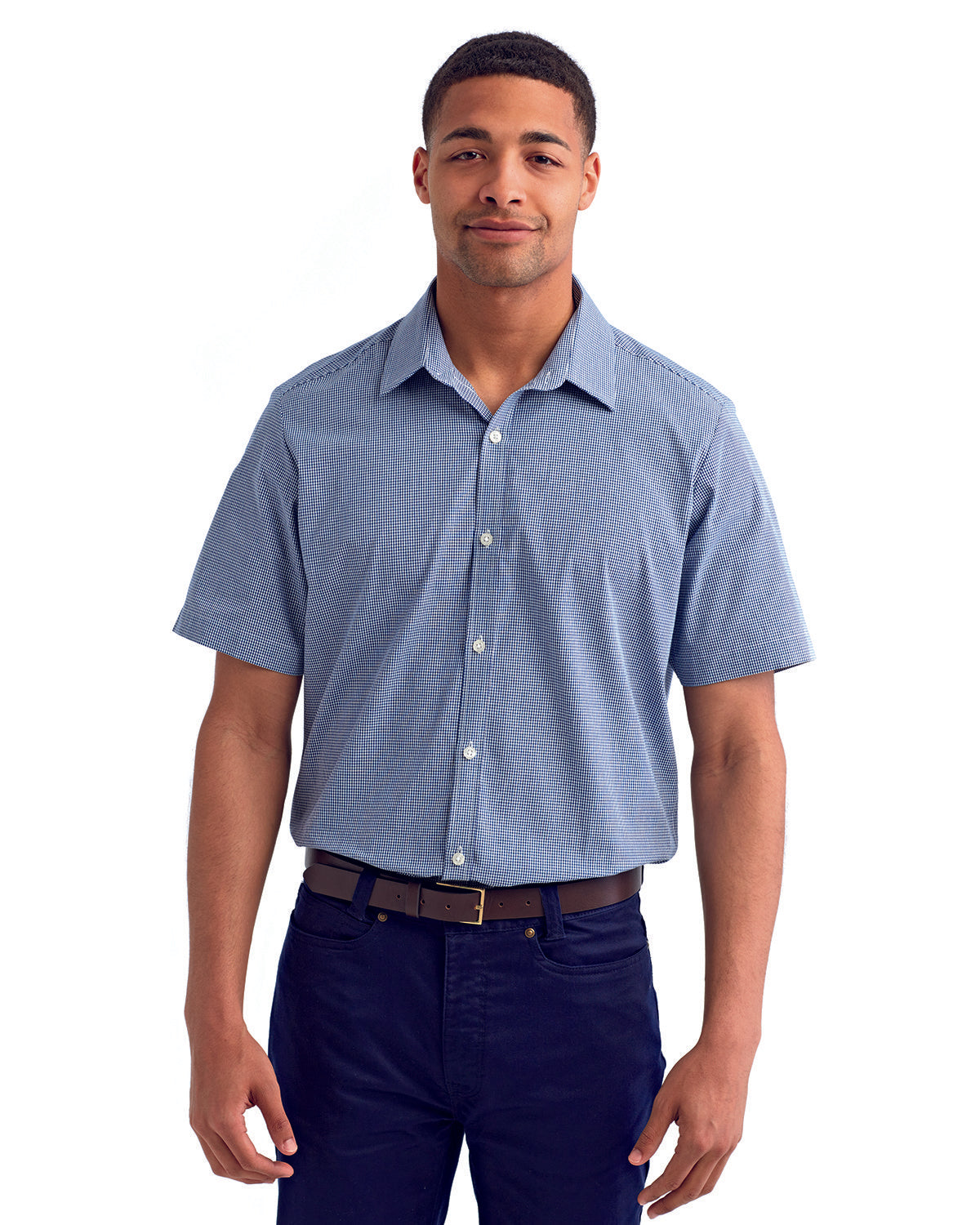 Artisan Finesse: The Men's Microcheck Gingham Short-Sleeve Cotton Shirt from the Artisan Collection by Reprime